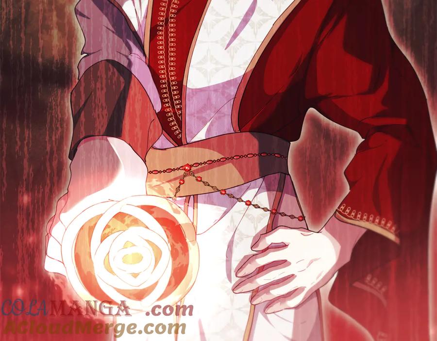 第205页