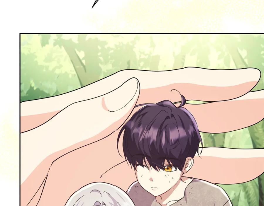 第196页