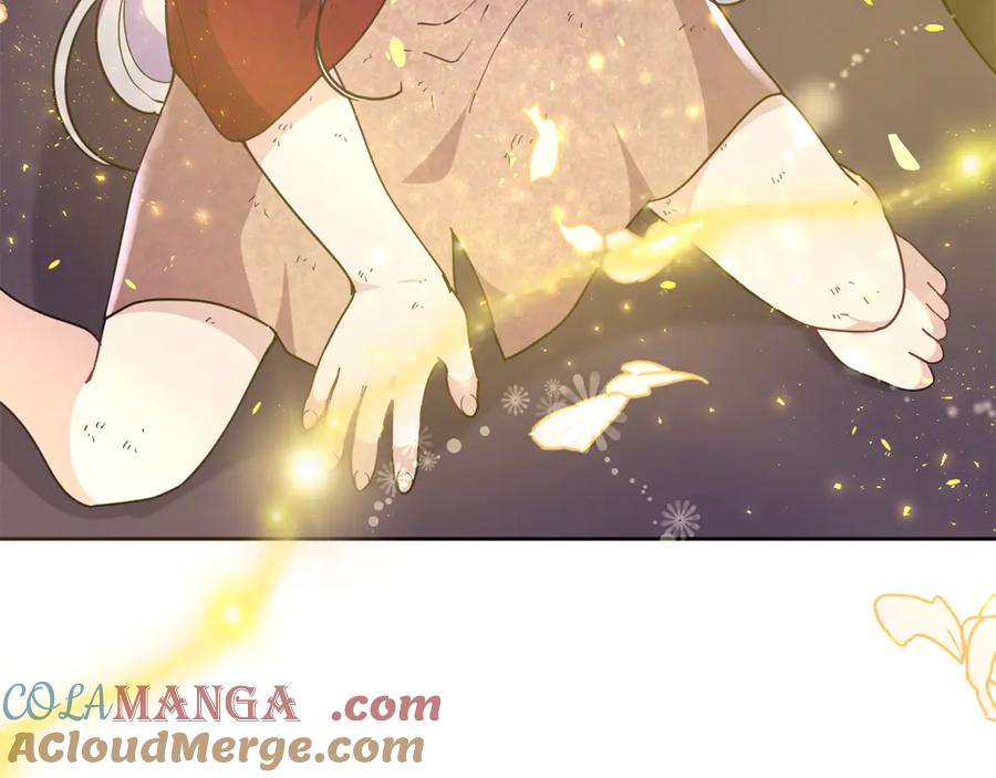 第205页