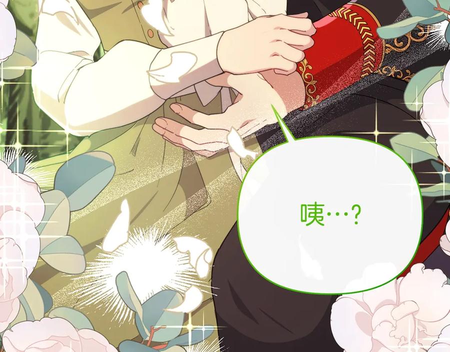 第215页