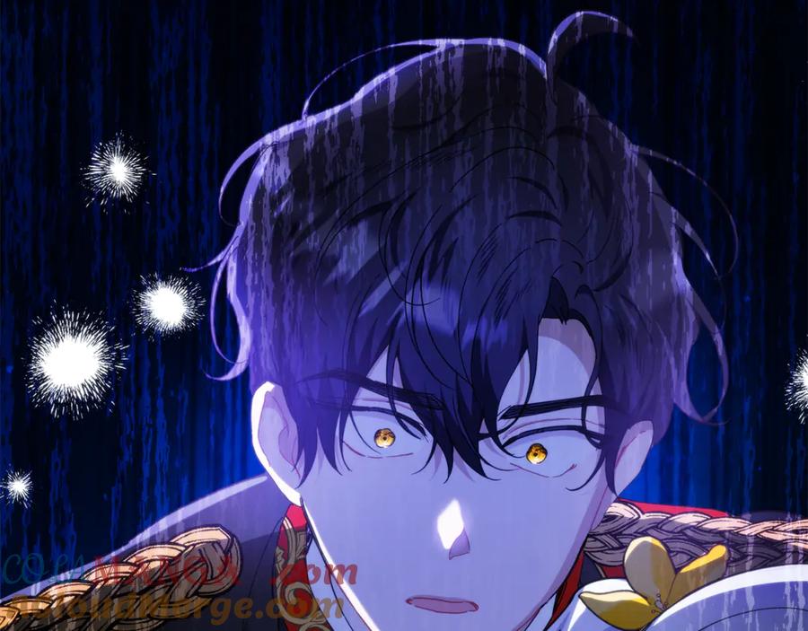 第233页