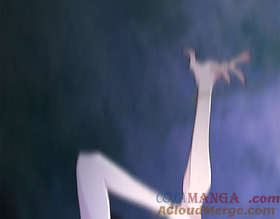 第205页
