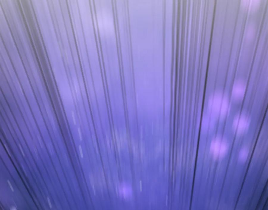 第243页