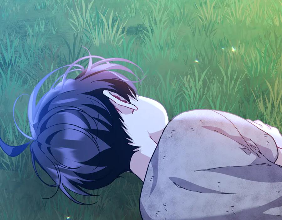 第204页