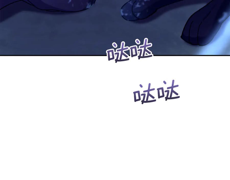 第224页