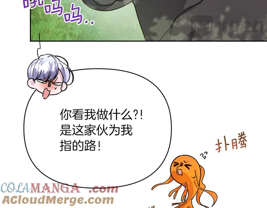 第181页