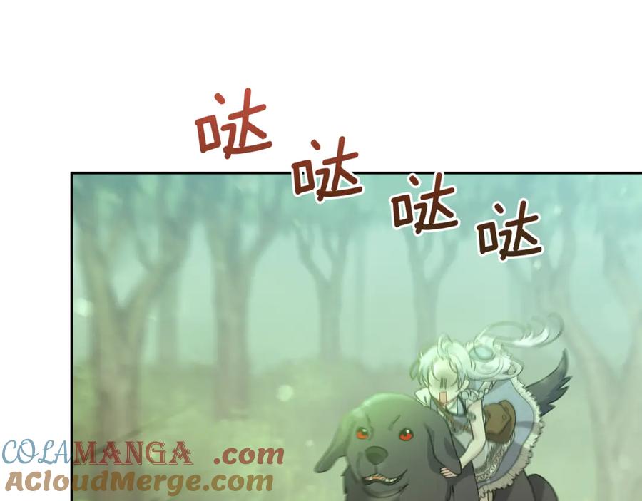 第205页