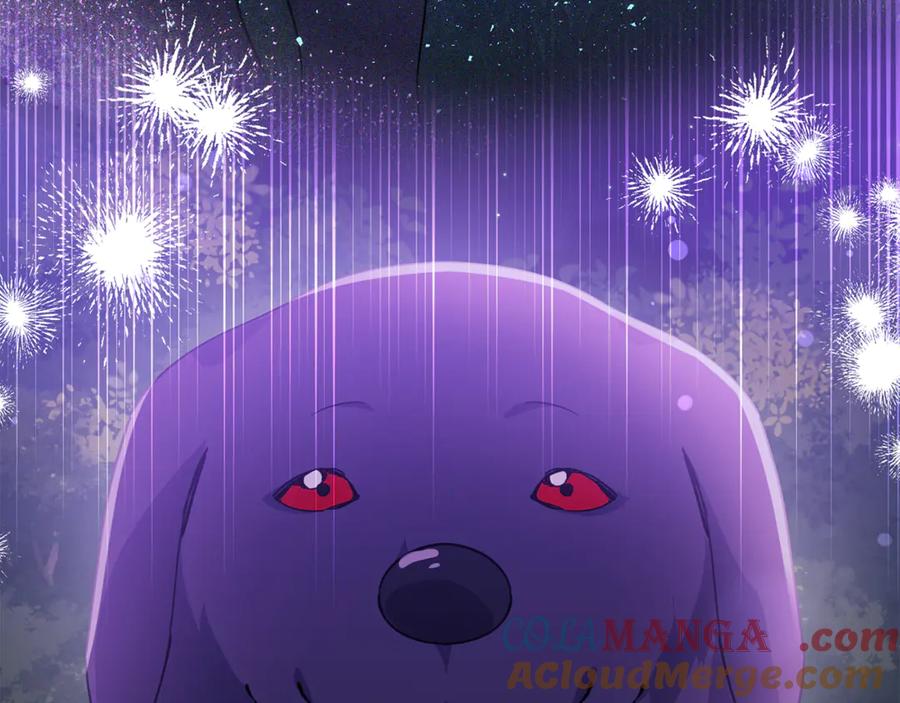 第205页