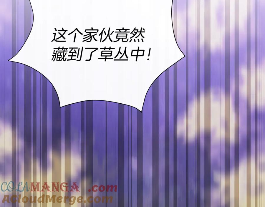第221页