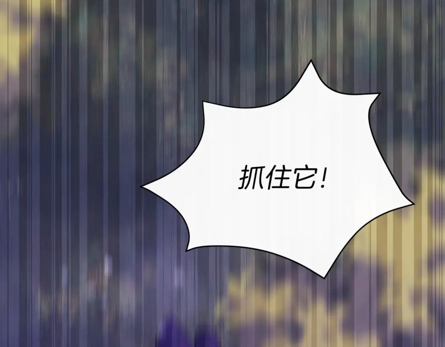 第223页