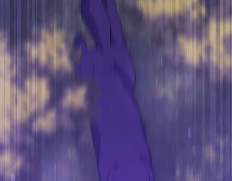 第224页