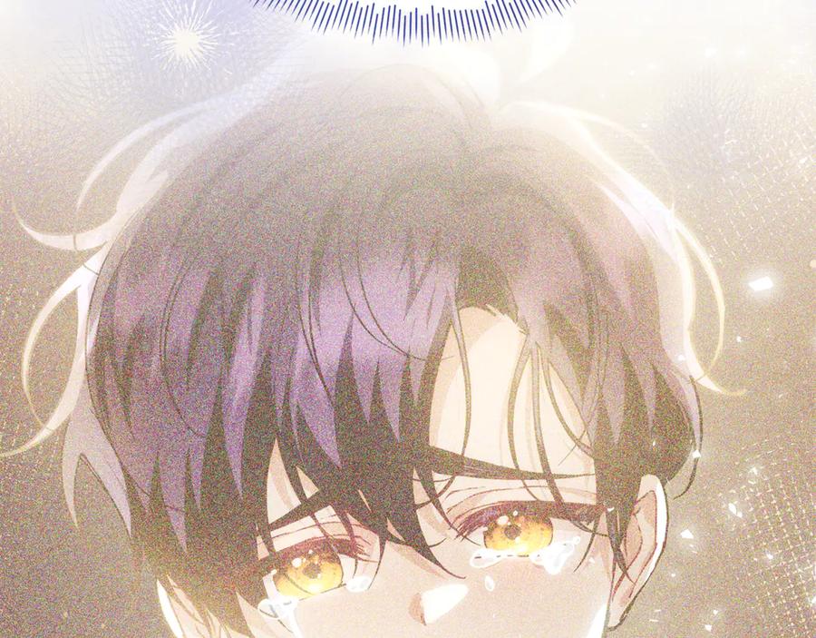 第206页