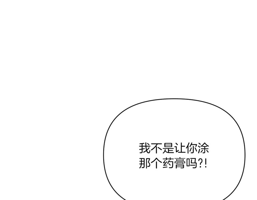 第223页