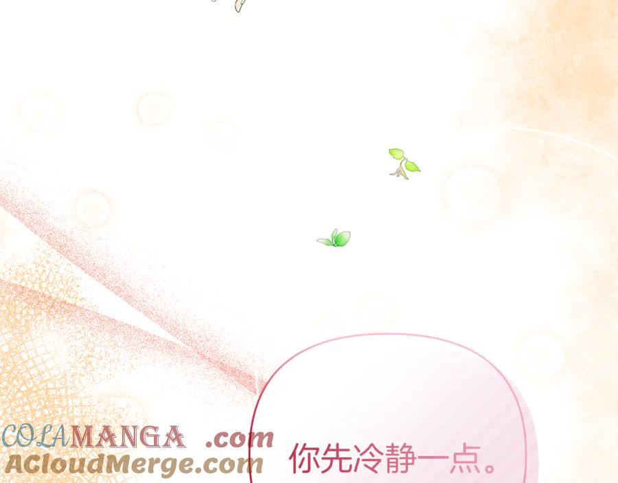 第205页