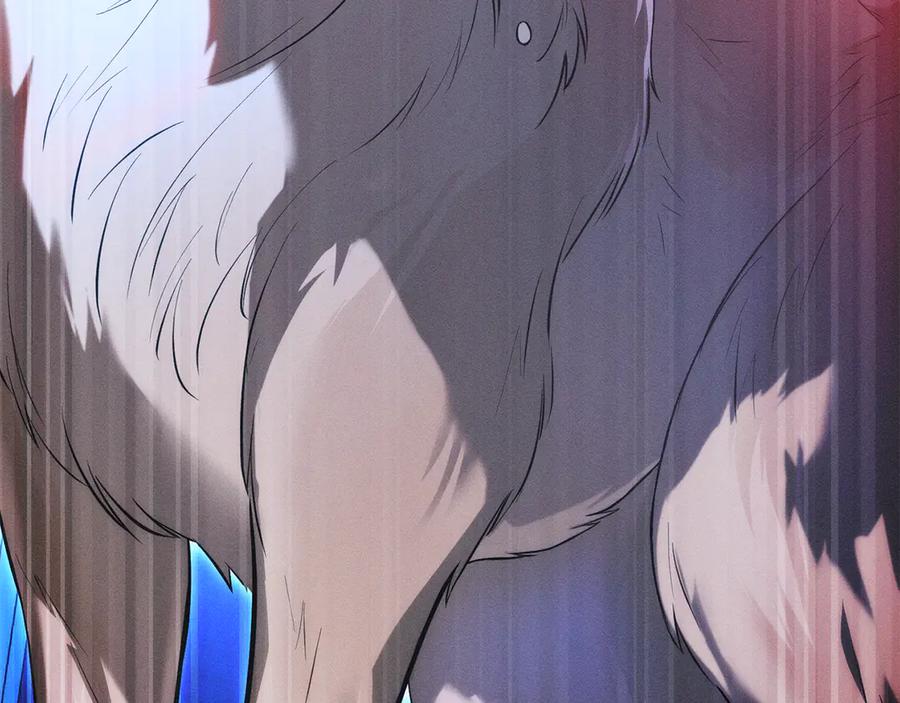 第206页