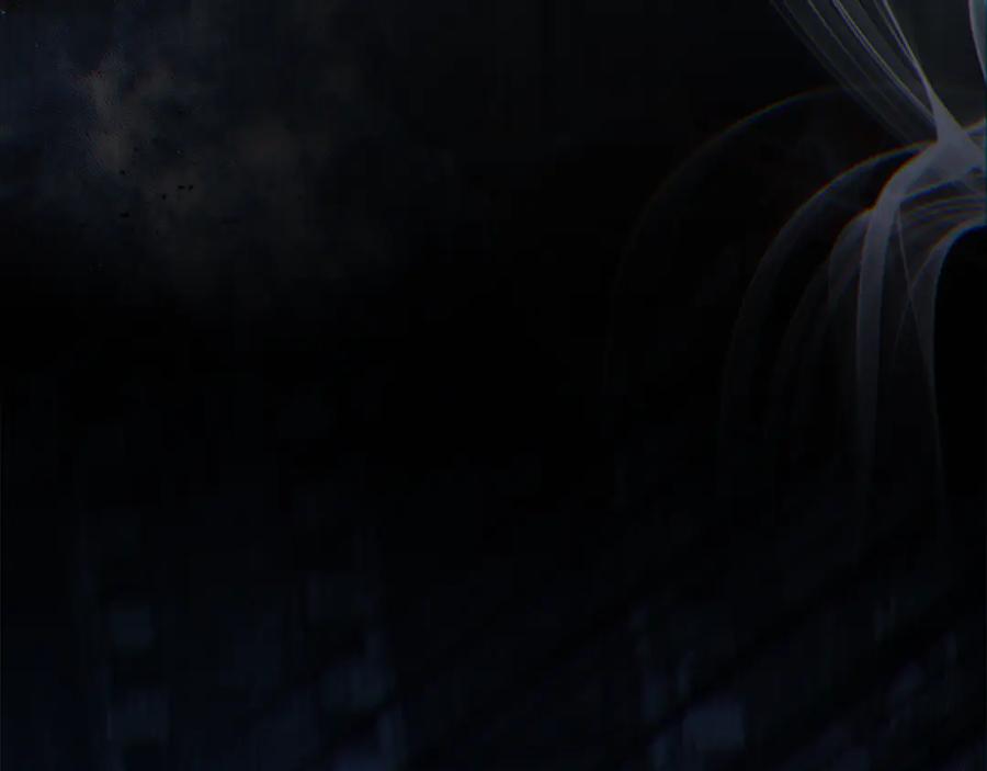 第204页