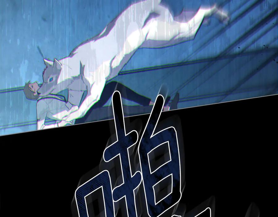 第206页