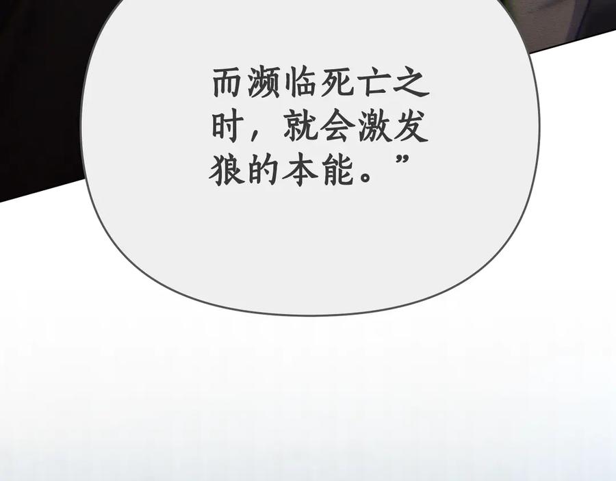 第194页