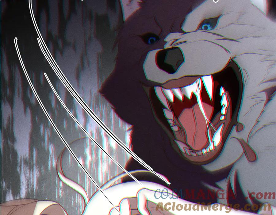 第185页