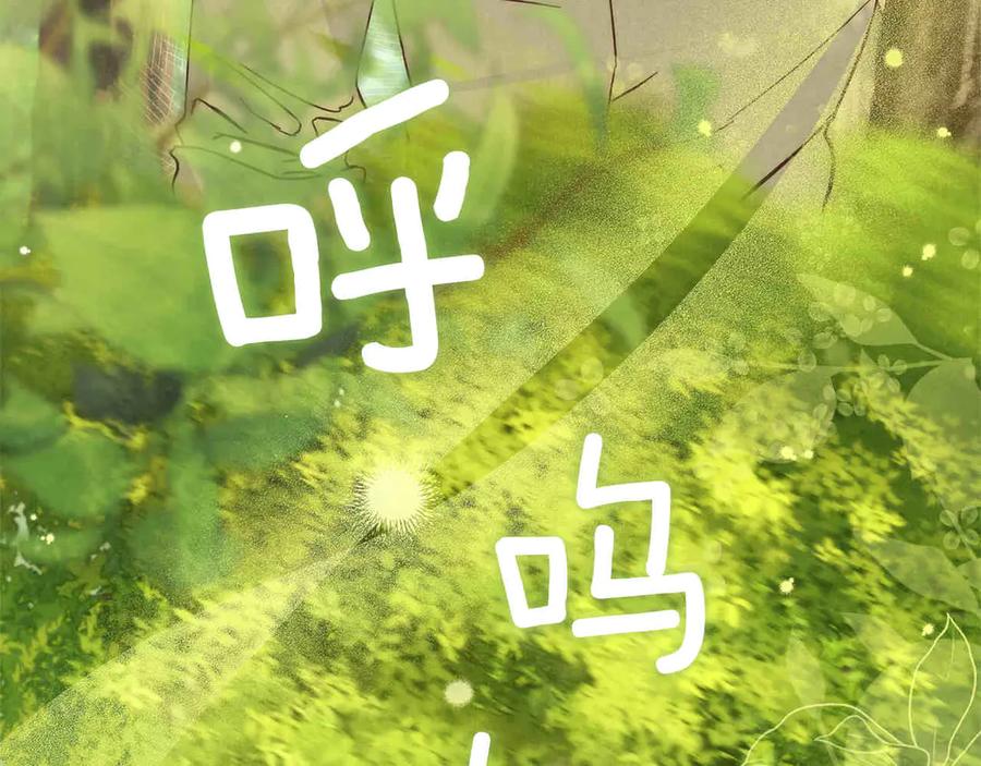 第215页