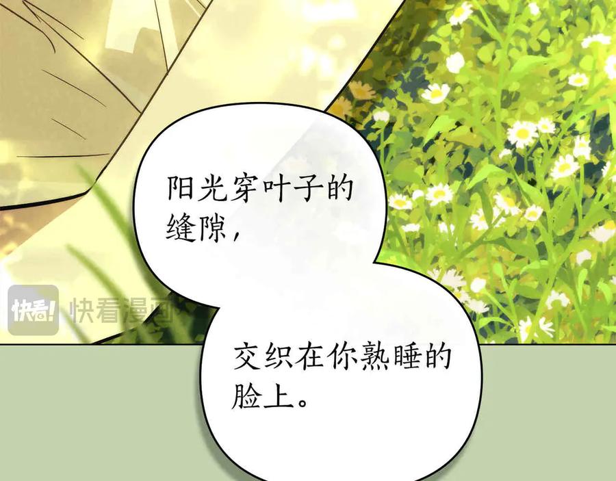 第239页
