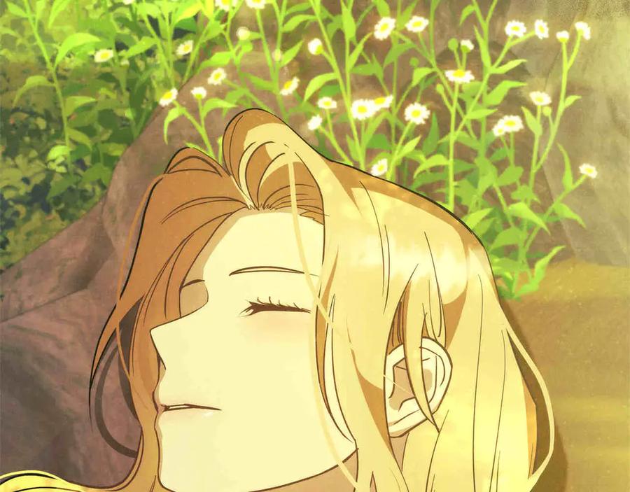 第234页