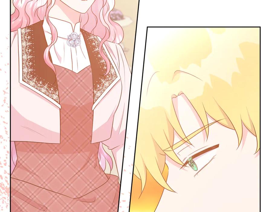 第215页