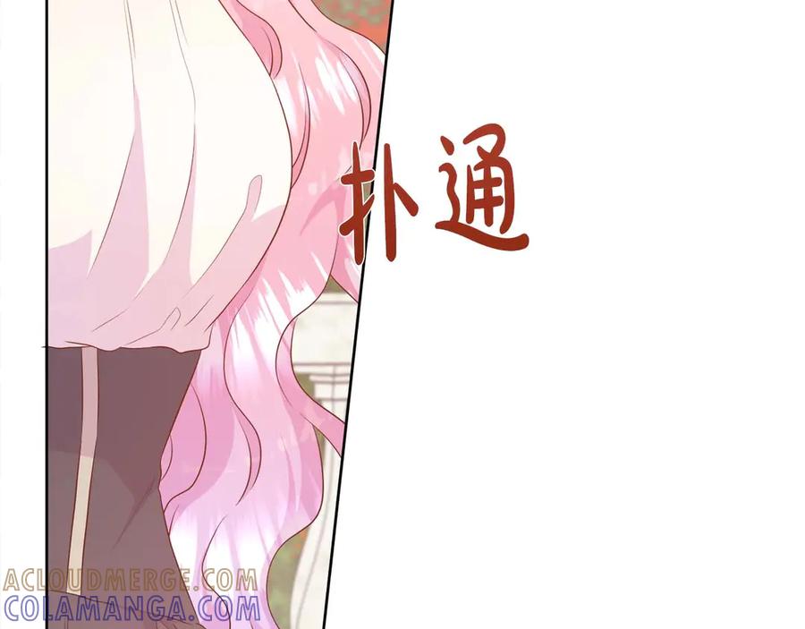 第221页