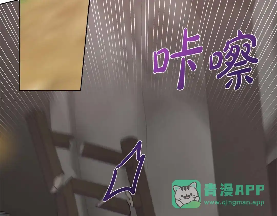 第221页
