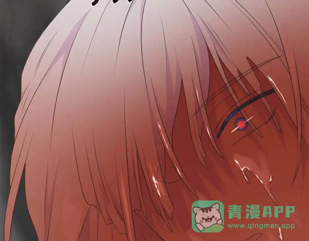 第236页