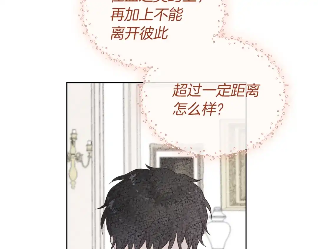 第217页