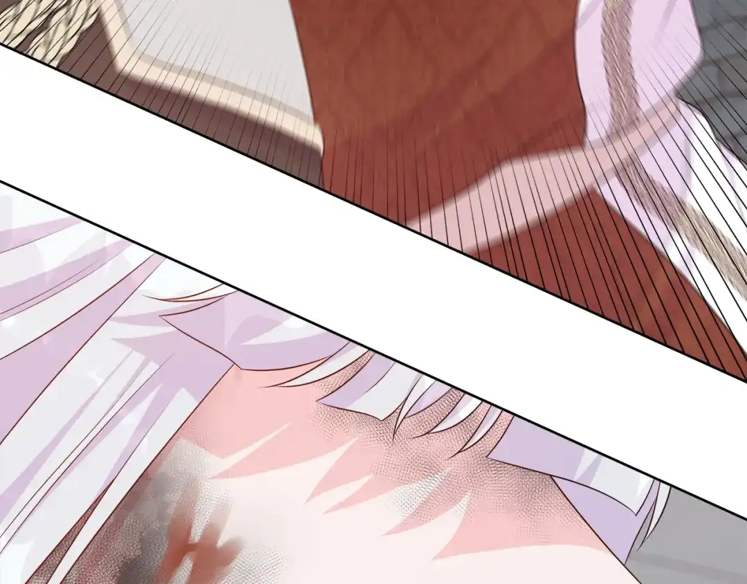 第204页