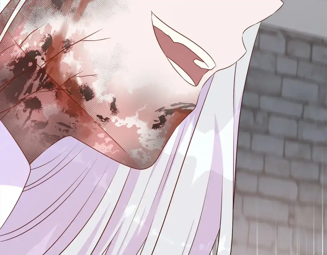 第205页