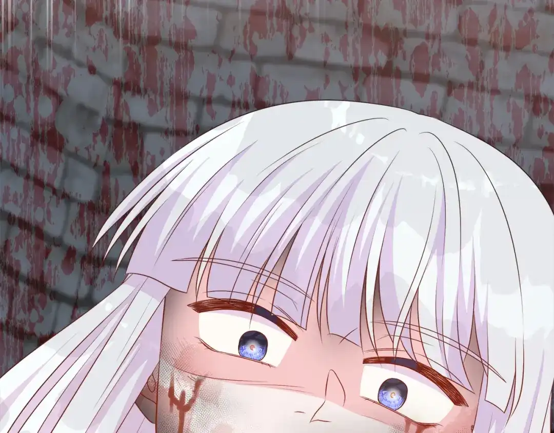 第233页