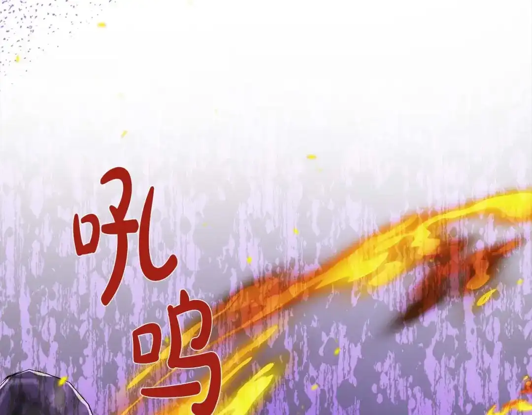 第211页