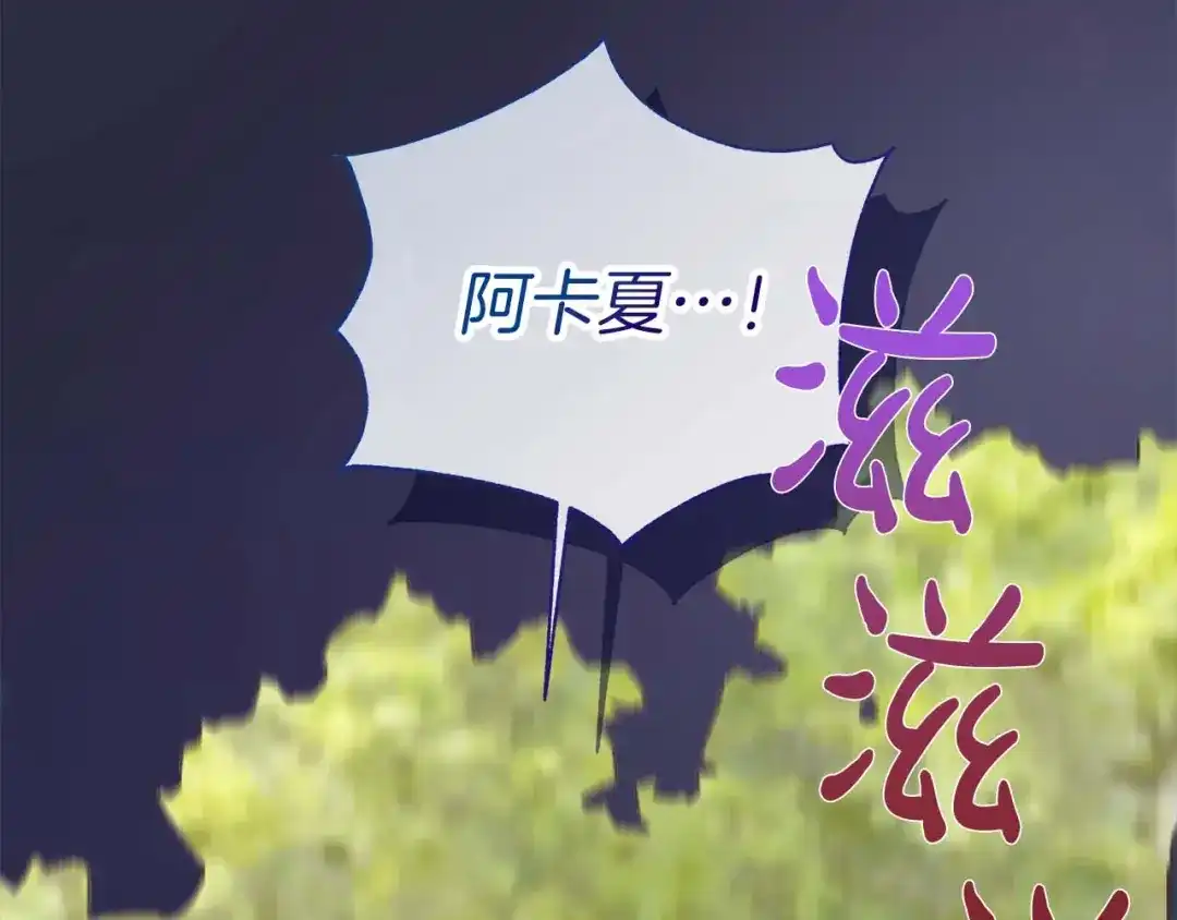 第242页