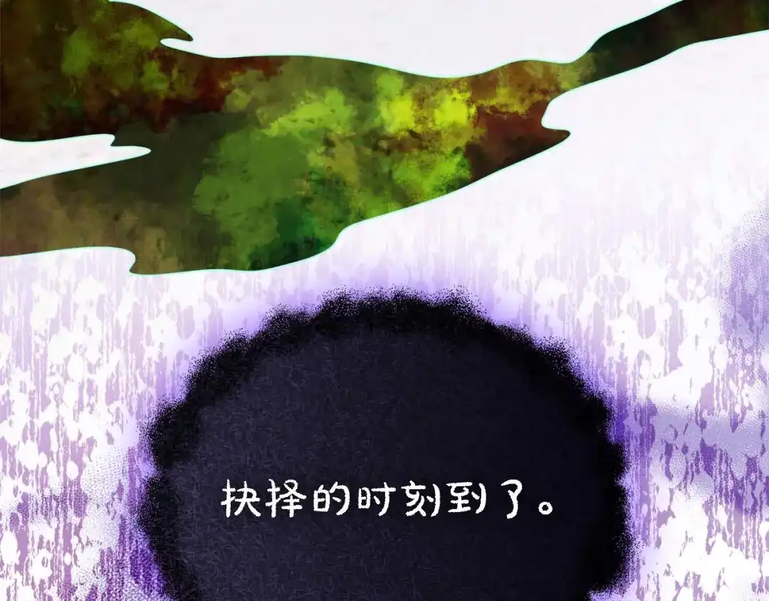 第255页