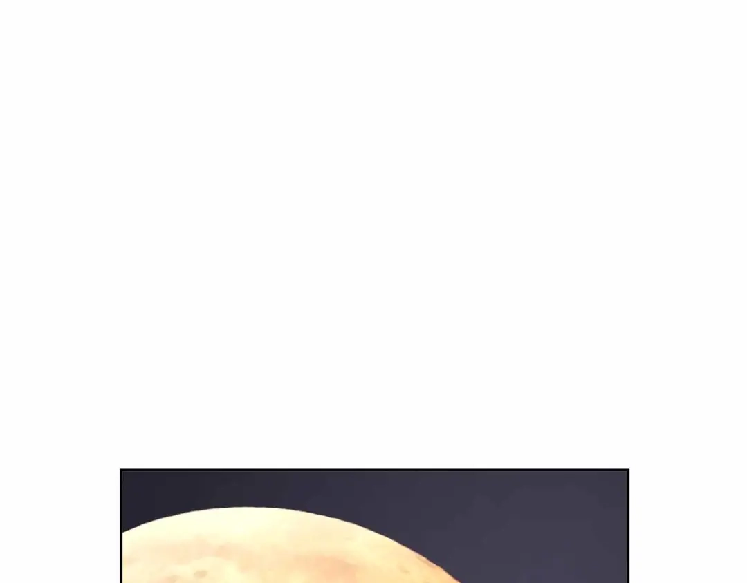 第523页