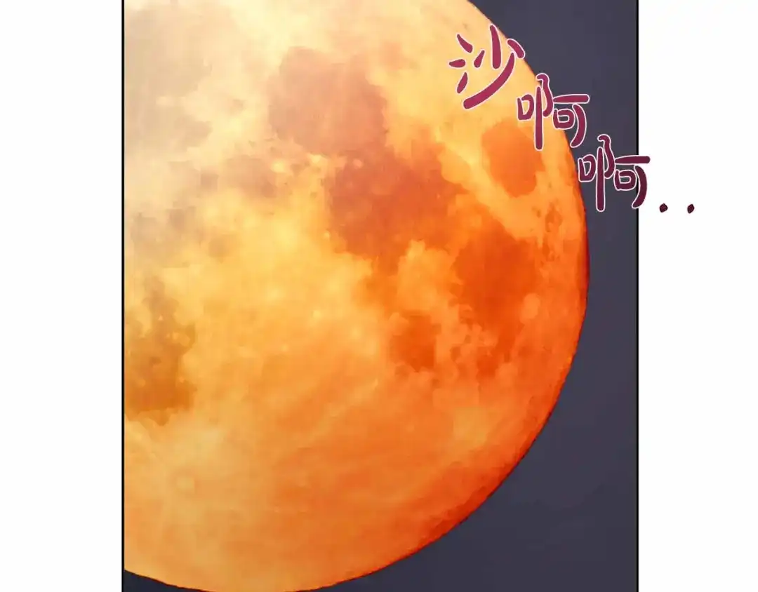 第526页
