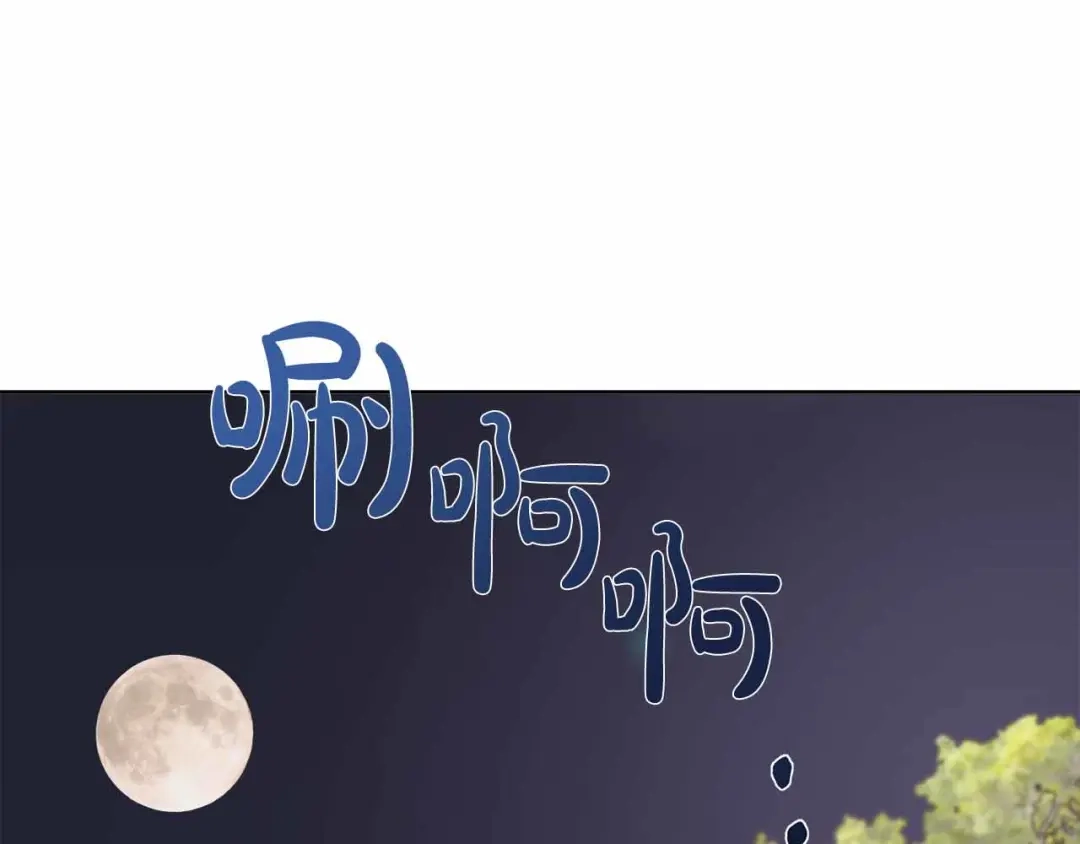 第535页
