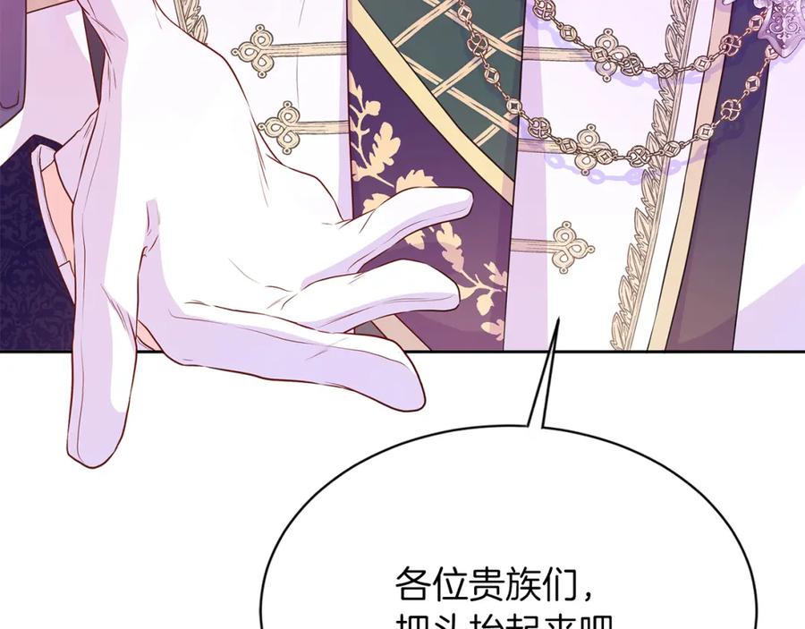 第223页