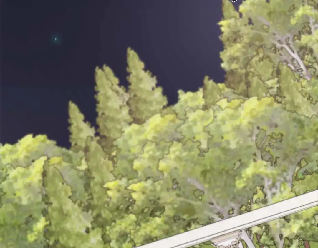第539页