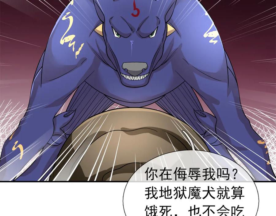 第146页