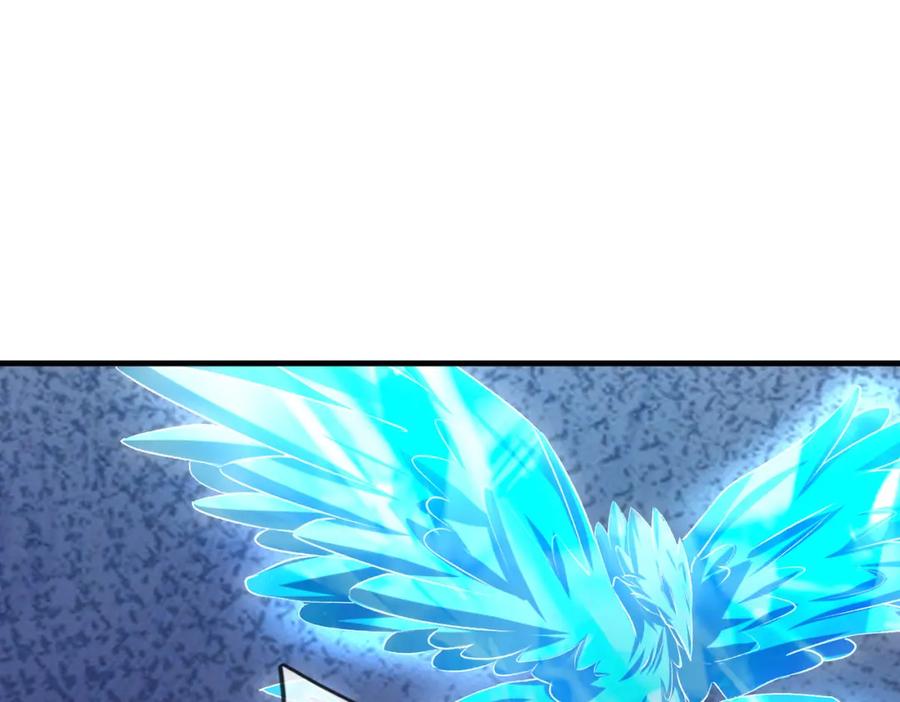 第264页