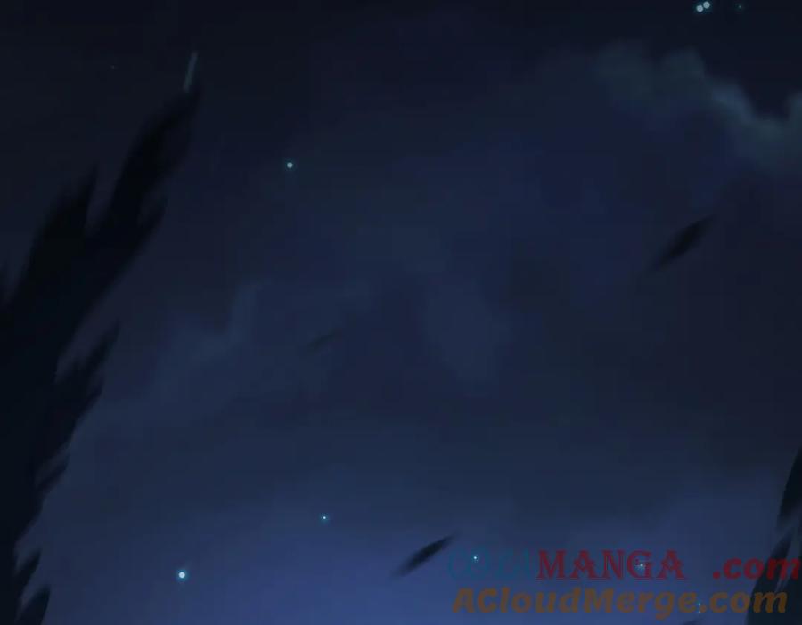 第217页