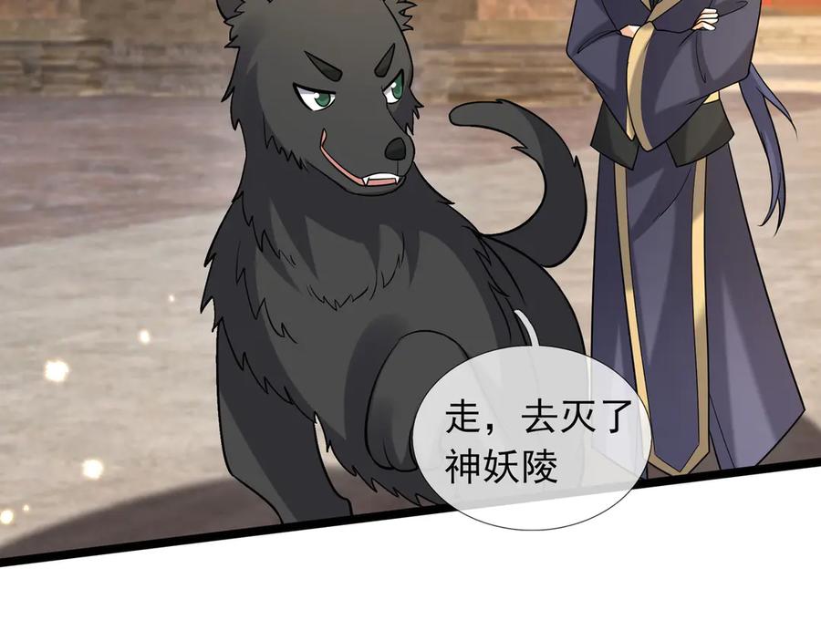 第207页