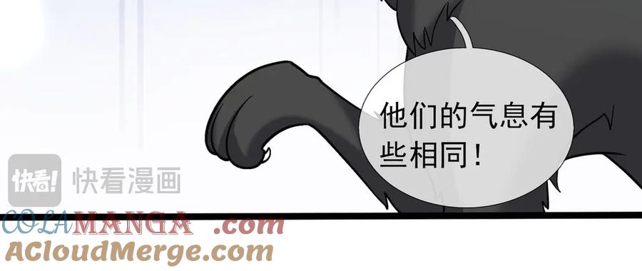 第209页