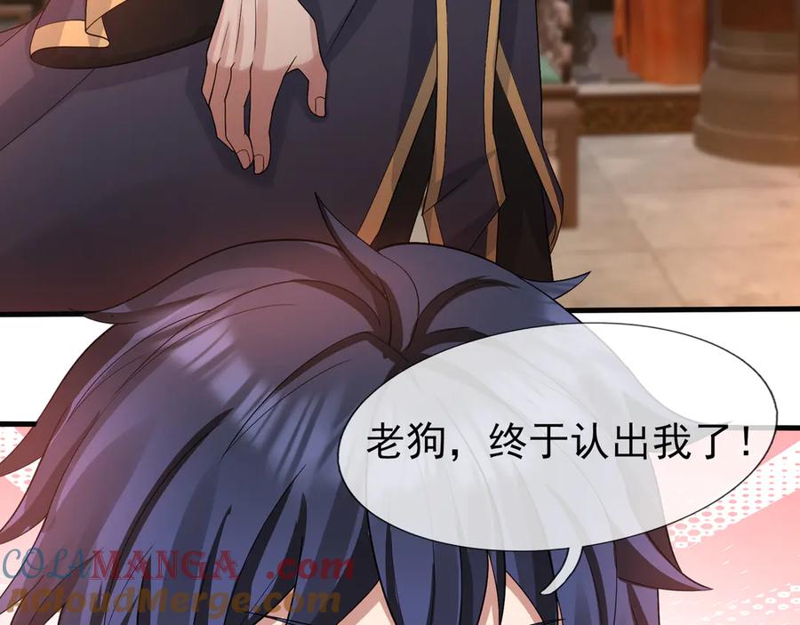 第204页