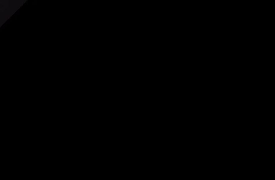 第224页