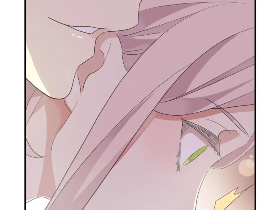 第215页